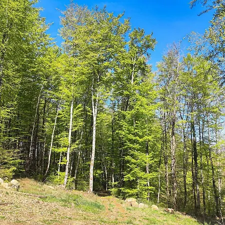 Maison Au Coeur De La Nature